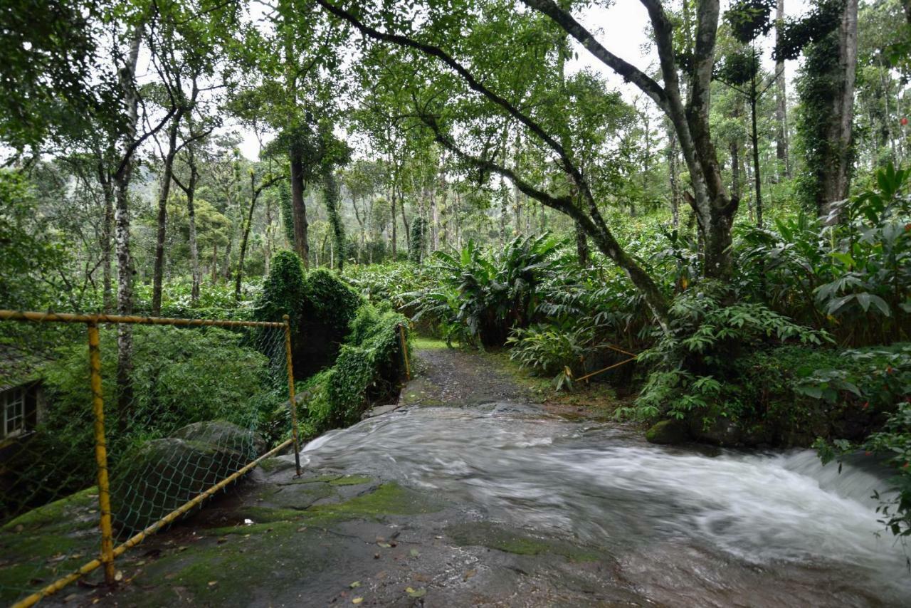 Mystic Mayapott, Thekkady Exterior photo